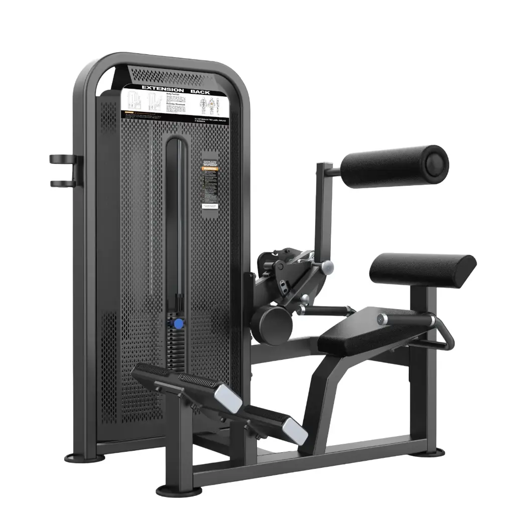 EXTENSION LUMBAR
