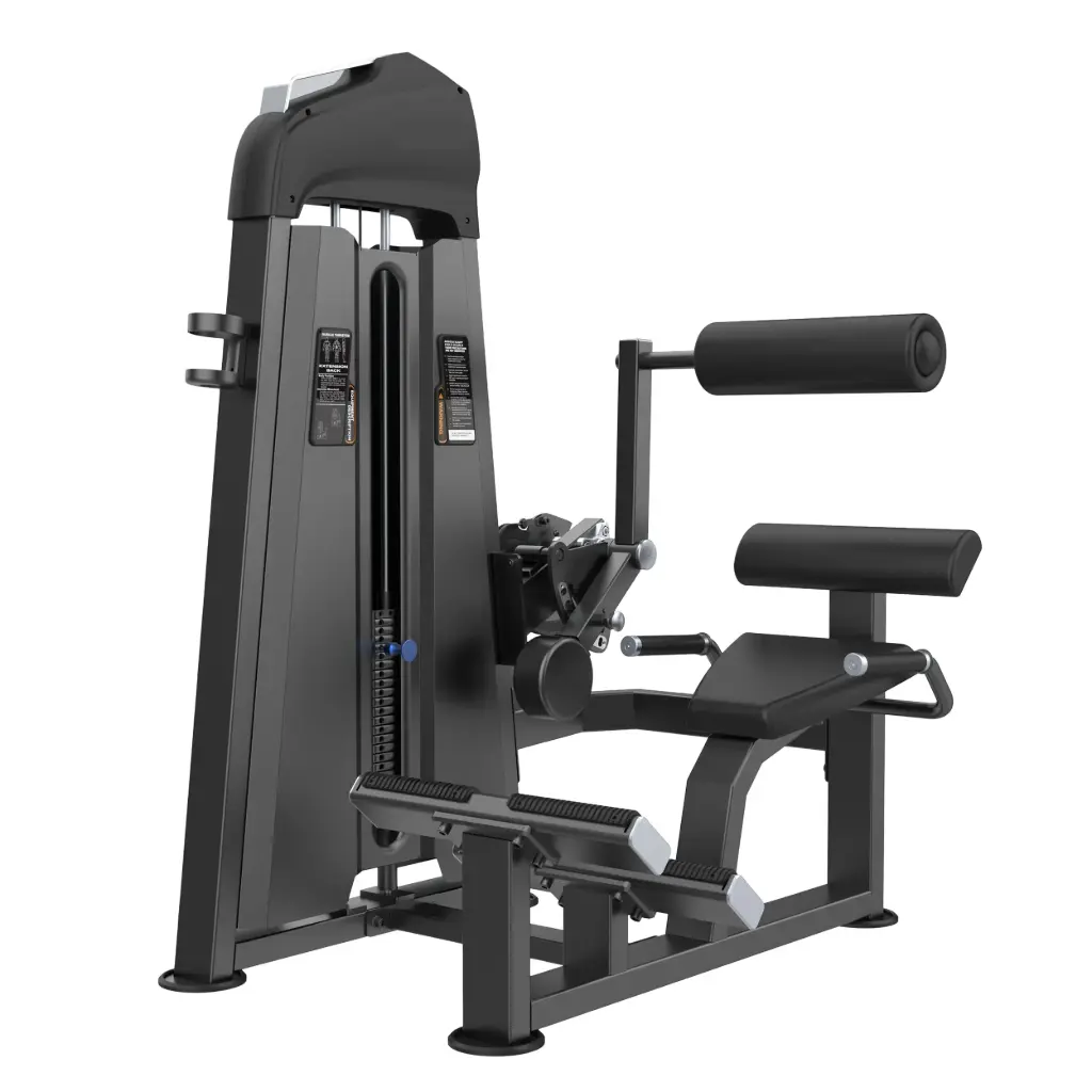 EXTENSION LUMBAR