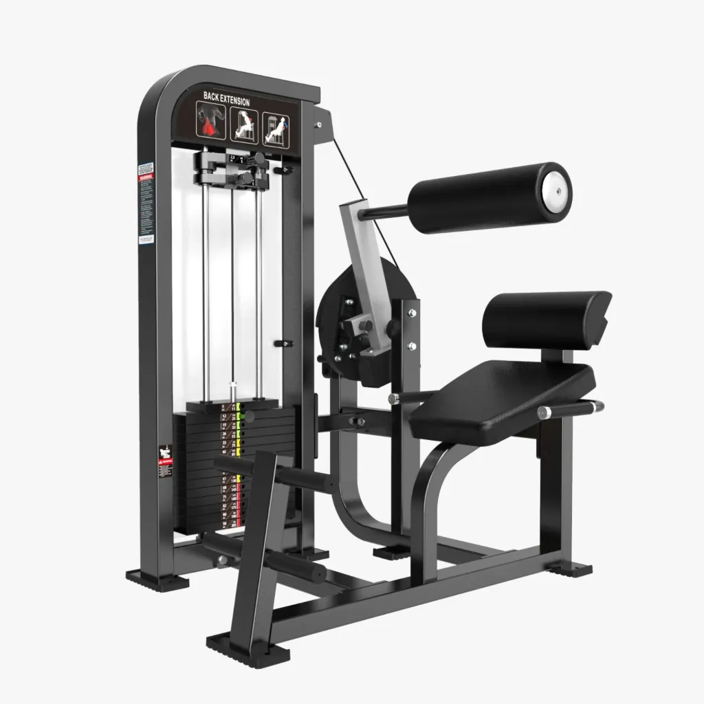 EXTENSION LUMBAR SENTADO