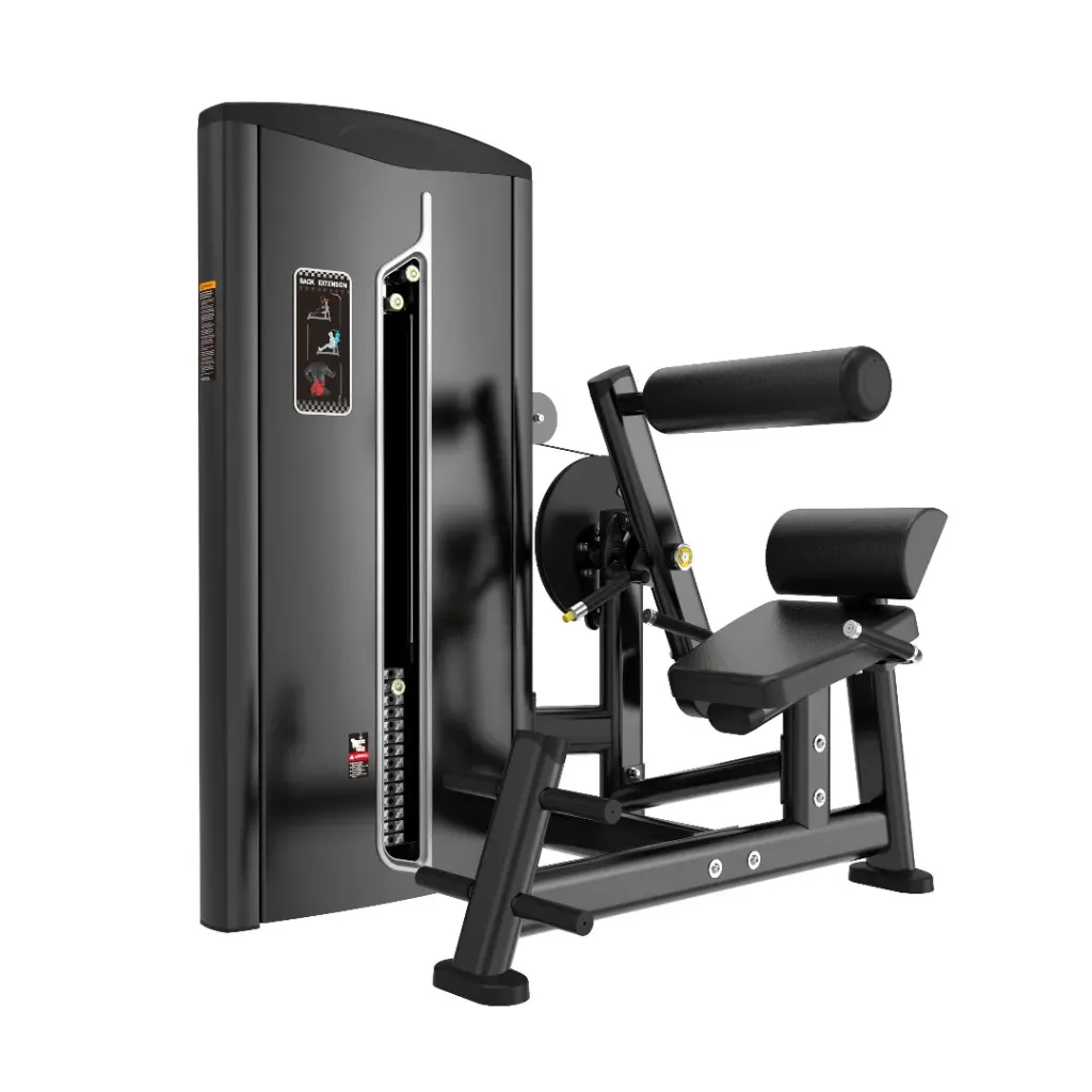 EXTENSION LUMBAR